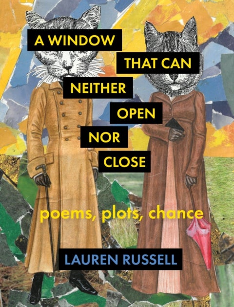 A Window That Can Neither Open Nor Close - Poems, Plots, Chance