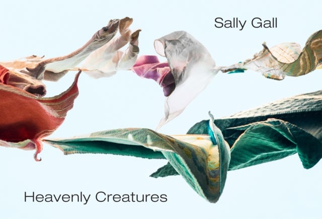 Bilde av Heavenly Creatures Av Sally Gall