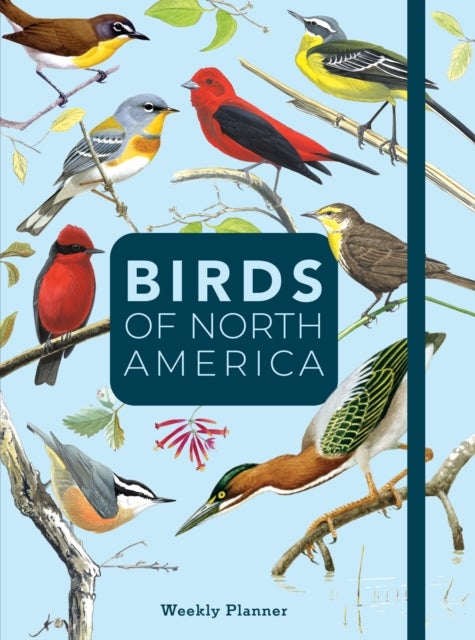 Birds of North America - Undated Weekly and Monthly Planner