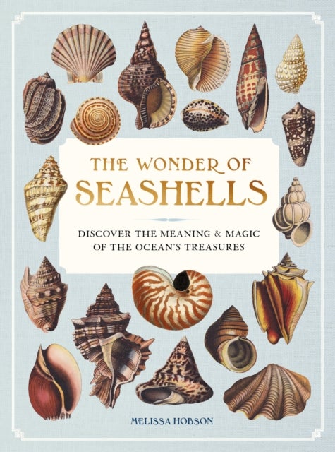 The Wonder of Seashells - Discover the Meaning and Magic of the Ocean¿s Treasures