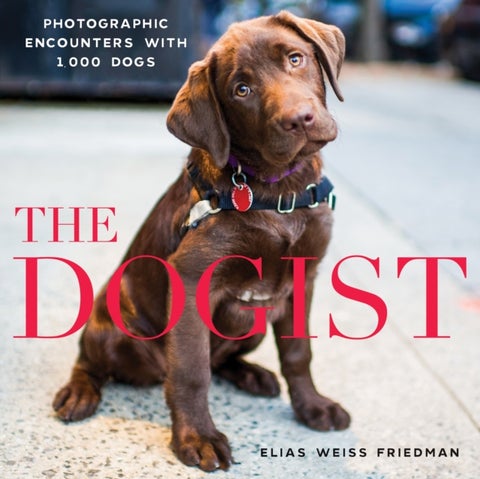 The Dogist - Photographic Encounters with 1,000 Dogs