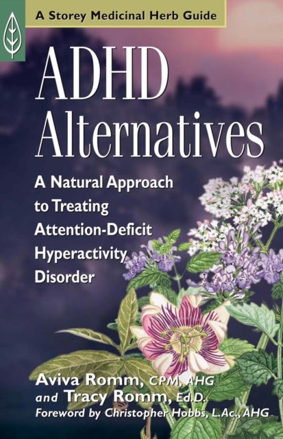 ADHD Alternatives - A Natural Approach to Treating Attention Deficit Hyperactivity Disorder