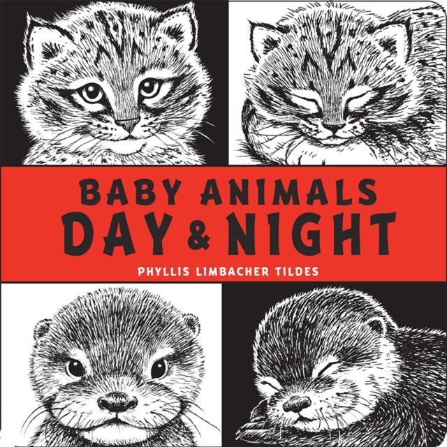 Bilde av Baby Animals Day &amp; Night Av Phyllis Limbacher Tildes