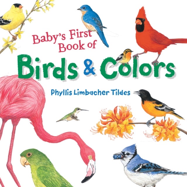 Bilde av Baby&#039;s First Book Of Birds &amp; Colors Av Phyllis Limbacher Tildes