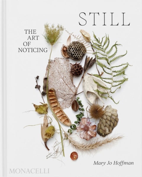 STILL - The Art of Noticing