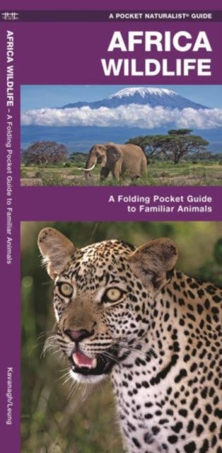 African Wildlife - A Folding Pocket Guide to Familiar Species
