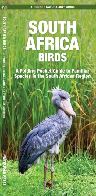 South Africa Birds - A Folding Pocket Guide to Familiar Species