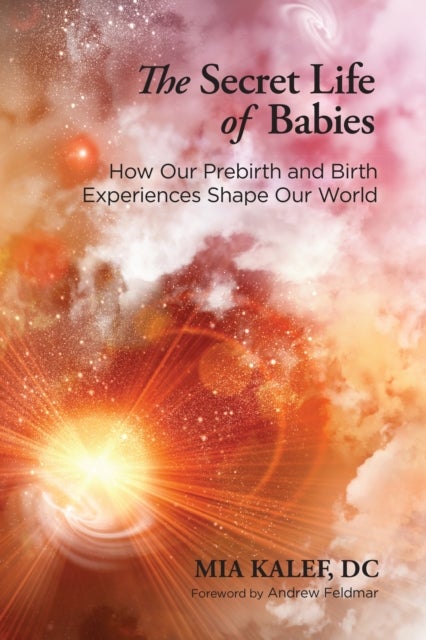 The Secret Life of Babies - How Our Prebirth and Birth Experiences Shape Our World