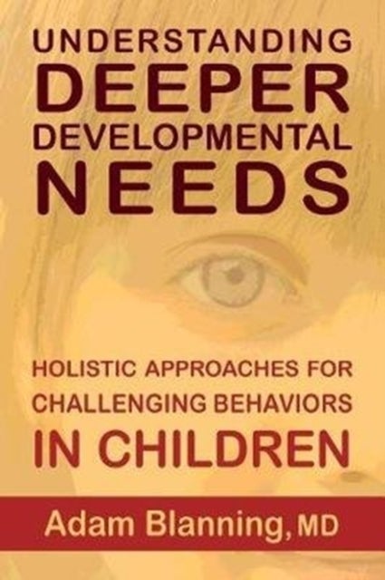 Understanding Deeper Developmental Needs - Holistic Approaches for Challenging Behaviors in Children