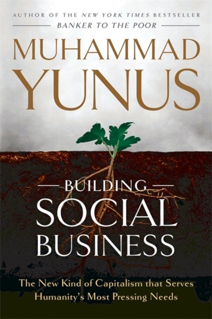 Building Social Business - The New Kind of Capitalism that Serves Humanity's Most Pressing Needs