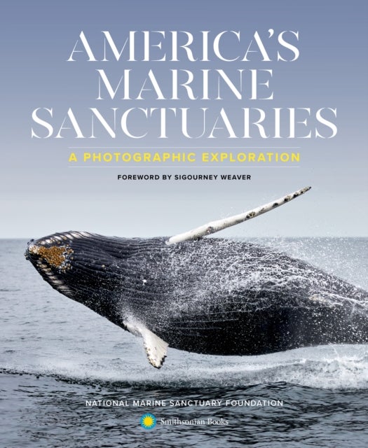 Bilde av America&#039;s Marine Sanctuaries Av National Marine Sanctuary Foundation