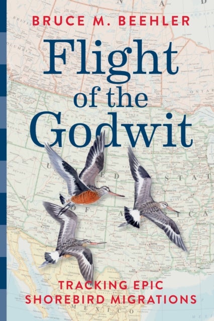 Flight of the Godwit - Tracking Epic Shorebird Migrations