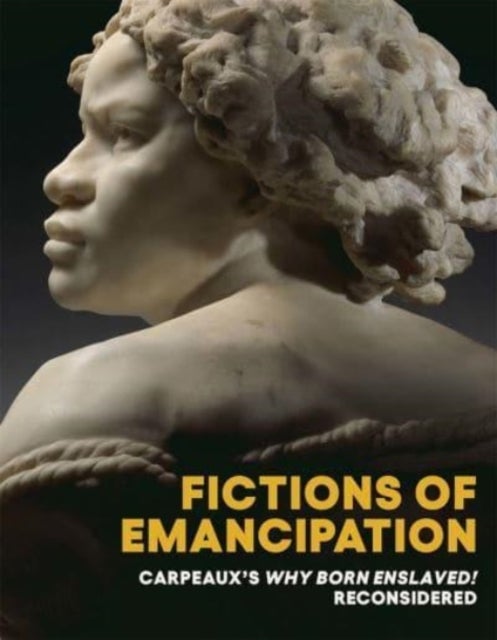 Bilde av Fictions Of Emancipation