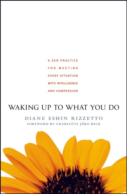 Waking Up to What You Do - A Zen Practice for Meeting Every Situation with Intelligence and Compassion
