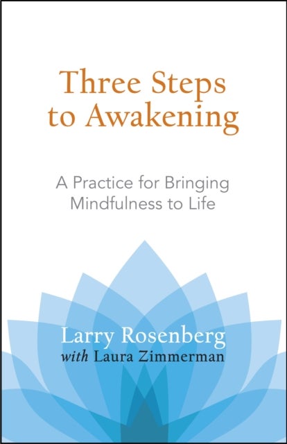 Three Steps to Awakening - A Practice for Bringing Mindfulness to Life