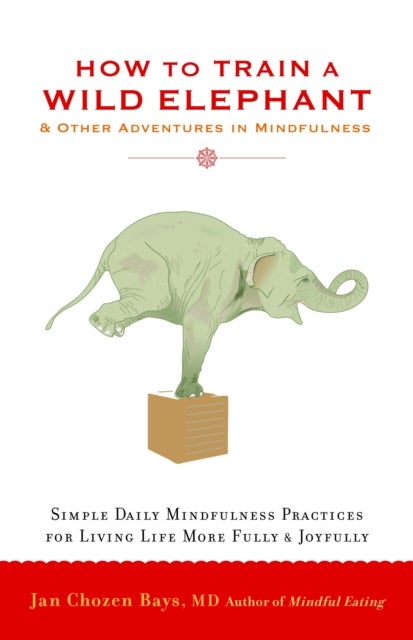 How to Train a Wild Elephant - And Other Adventures in Mindfulness