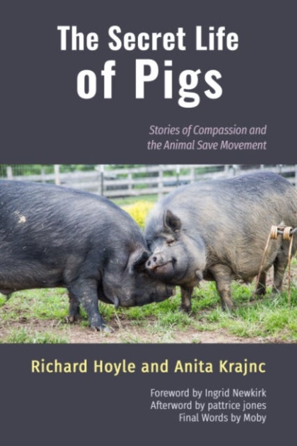 Bilde av The Secret Life Of Pigs Av Richard (richard Hoyle) Hoyle, Anita (anita Krajnc) Krajnc