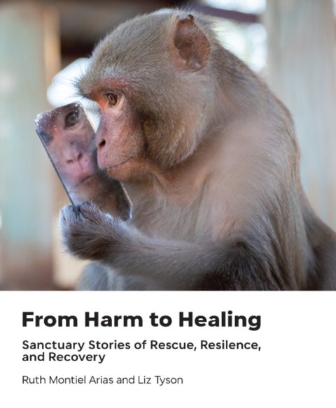From Harm to Healing - Sanctuary Stories of Rescue, Resilience, and Recovery
