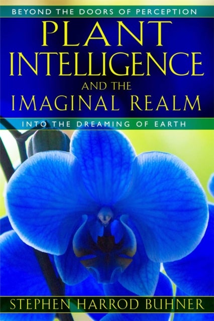 Plant Intelligence and the Imaginal Realm - Beyond the Doors of Perception into the Dreaming of Earth