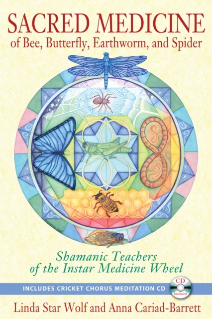 Sacred Medicine of Bee, Butterfly, Earthworm, and Spider - Shamanic Teachers of the Instar Medicine Wheel