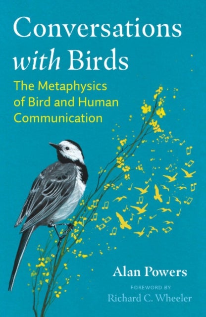 Bilde av Conversations With Birds Av Alan Powers
