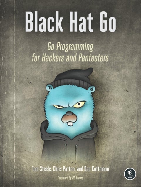 Black Hat Go - Go Programming For Hackers and Pentesters