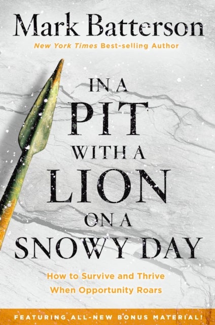 Bilde av In A Pit With A Lion On A Snowy Day Av Mark Batterson