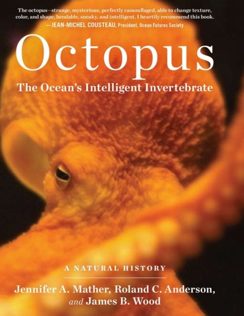 Bilde av Octopus Av James B. Wood, Jennifer A. Mather, Roland C. Anderson