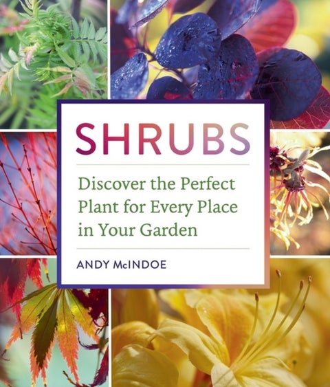 Shrubs - Discover the Perfect Plant for Every Place in Your Garden
