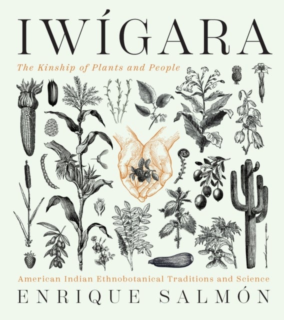 Iwigara: American Indian Ethnobotanical Traditions and Science av Enrique Salmon