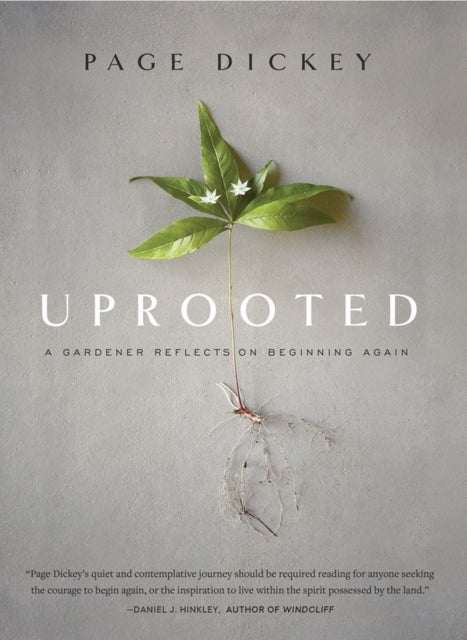 Uprooted - A Gardener Reflects on Beginning Again