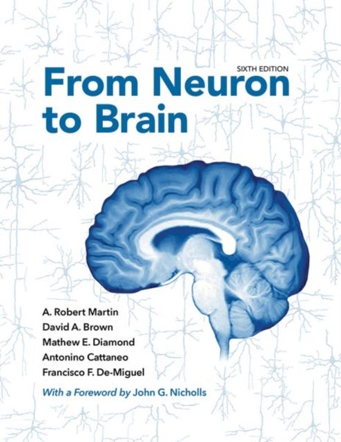 Bilde av From Neuron To Brain Av A. Robert Martin, David A. Brown, Mathew E. Diamond, Antonino Cattaneo, Francisco F. De-miguel