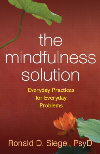 The Mindfulness Solution - Everyday Practices for Everyday Problems