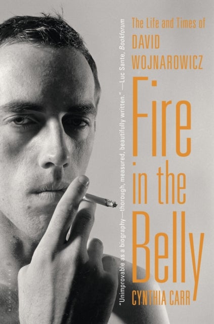 Fire in the Belly - The Life and Times of David Wojnarowicz