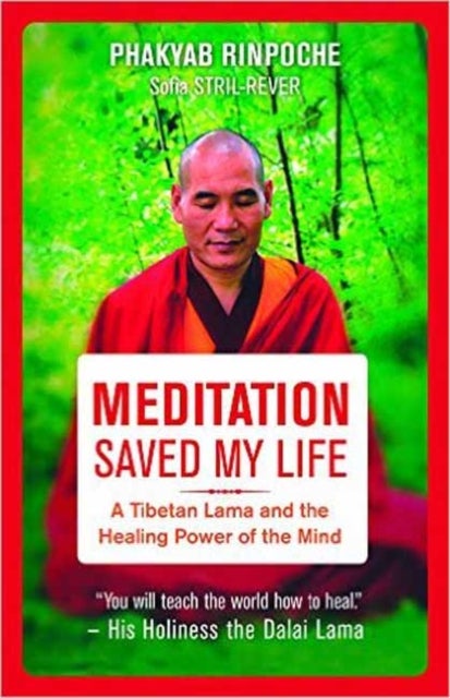 Bilde av Meditation Saved My Life Av Phakyab Rinpoche, Sofia Stril-rever