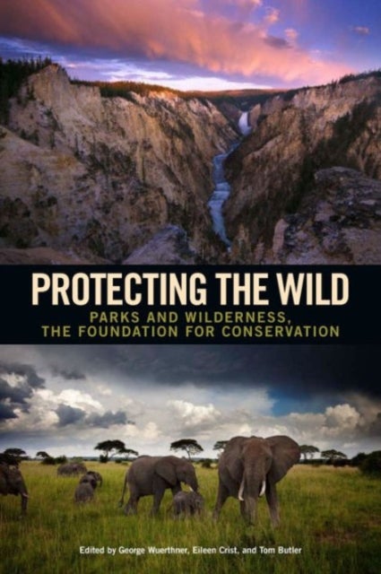 Protecting the Wild - Parks and Wilderness, the Foundation for Conservation