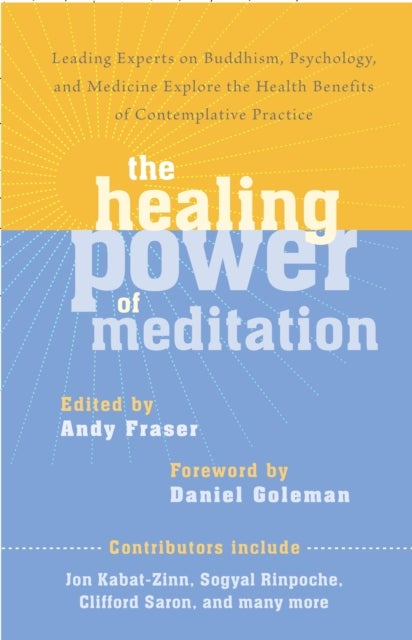 The Healing Power of Meditation - Leading Experts on Buddhism, Psychology, and Medicine Explore the Health Benefits of Contemplative P