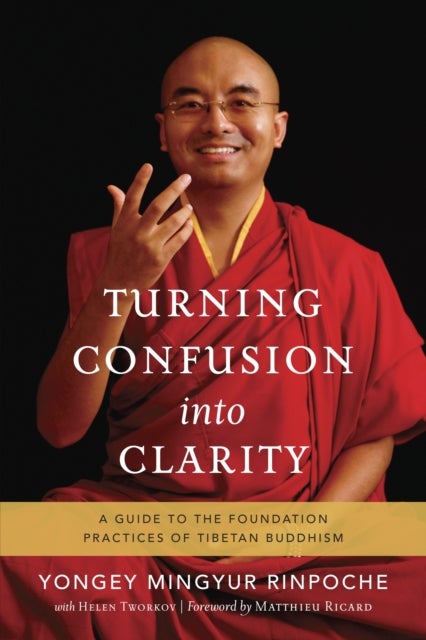 Turning Confusion into Clarity - A Guide to the Foundation Practices of Tibetan Buddhism