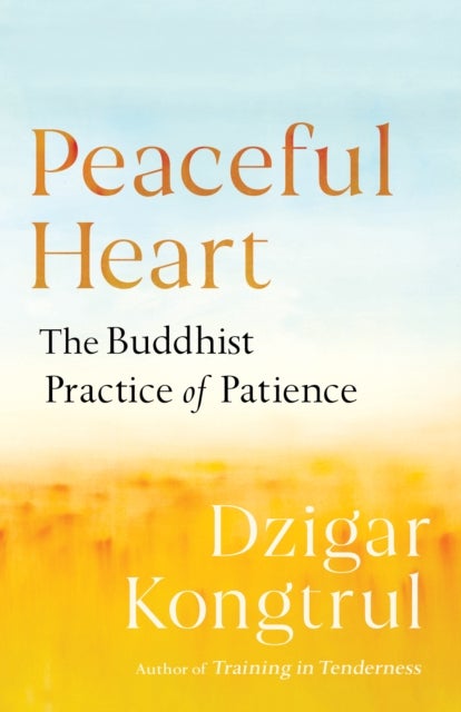 Peaceful Heart - The Buddhist Practice of Patience