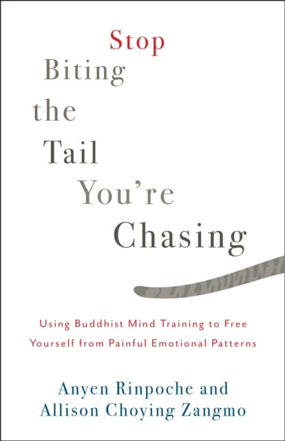 Bilde av Stop Biting The Tail You&#039;re Chasing Av Anyen Rinpoche, Allison Choying Zangmo