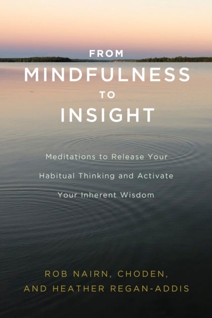 Bilde av From Mindfulness To Insight Av Rob Nairn, Choden
