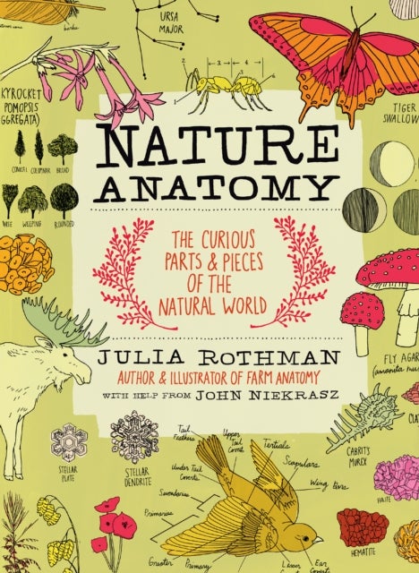 Bilde av Nature Anatomy Av Julia Rothman