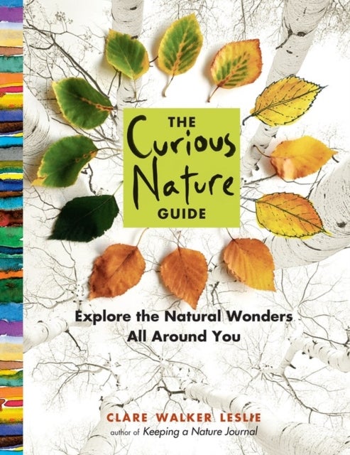 Bilde av The Curious Nature Guide Av Clare Walker Leslie