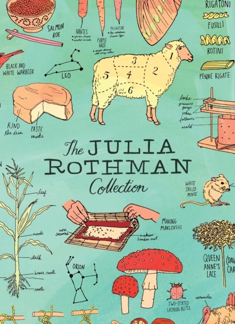 The Julia Rothman Collection - Farm Anatomy, Nature Anatomy, and Food Anatomy