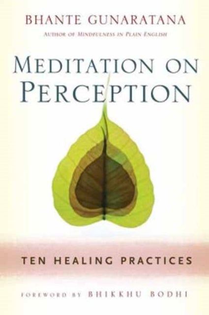 Bilde av Meditation On Perception Av Henepola Gunaratana