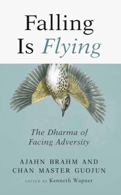 Falling is Flying - The Dharma of Facing Adversity