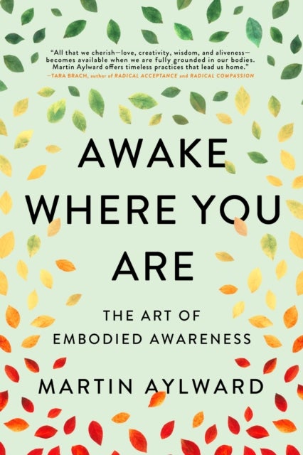 Awake Where You Are - The Art of Embodied Awareness