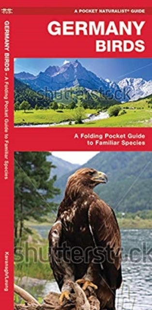 Germany Birds - A Folding Pocket Guide to Familiar Species