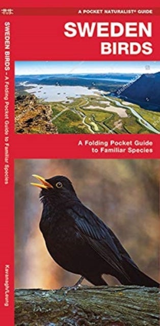 Sweden Birds - A Folding Pocket Guide to Familiar Species