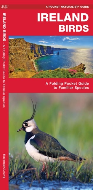 Ireland Birds - A Folding Pocket Guide to Familiar Species